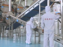 2025年的第一個(gè)月，承德亞歐果仁有限公司在山杏產(chǎn)業(yè)的道路上持續(xù)奮進(jìn)，展現(xiàn)出蓬勃的發(fā)展活力。